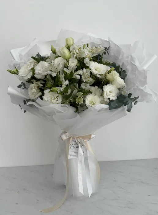 התחלות חדשות