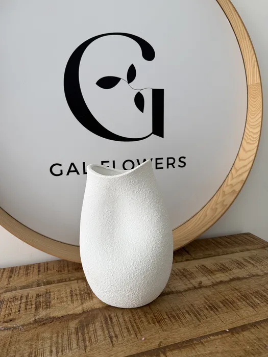 כד דגם משאלות