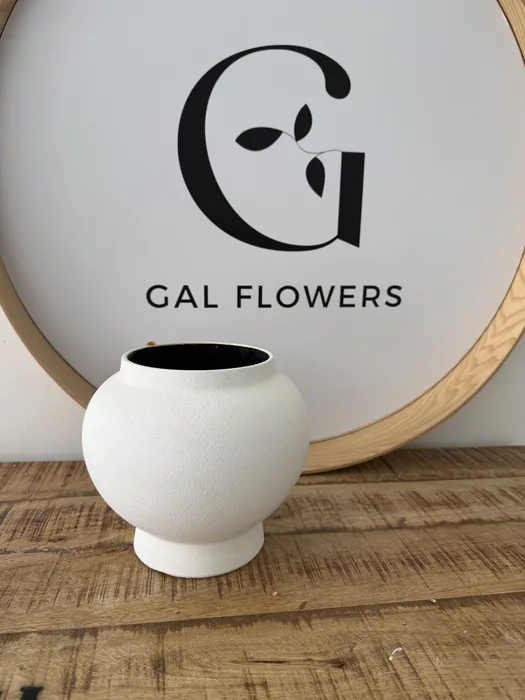 כד דגם בשורוות טובות